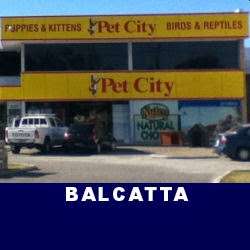 Photo: Pet City Balcatta
